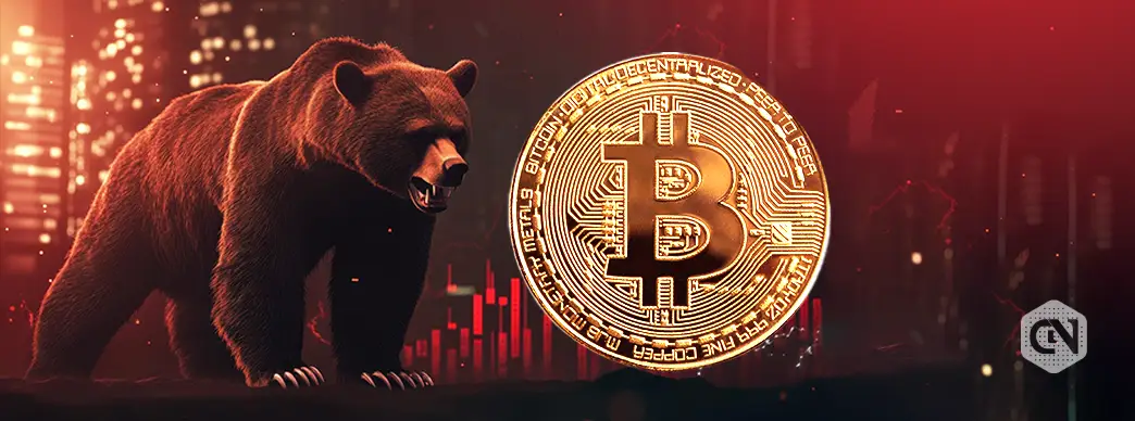 Bitcoin $81k, BTC Volatility Hits Highest Level