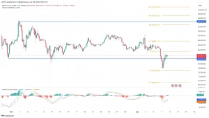 Bitcoin Price Chart