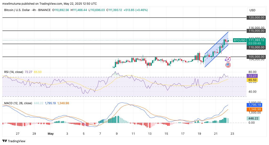 Bitcoin Price Soars Past $110K; How Far Could This Bull Run Extend? Bitcoin Price Soars Past $110K; How Far Could This Bull Run Extend?