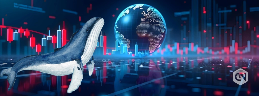 Binance Attracts $7.5 Billion Whale Inflow in New Yearly High