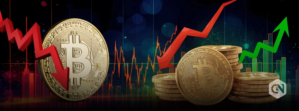 Bitcoin’s Brutal November: What’s Next for December?