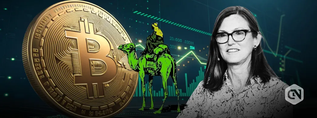 Silk Road Wallet Move and ARK Invest's Cathy Wood on BTC Volatility and Institutional Inflows