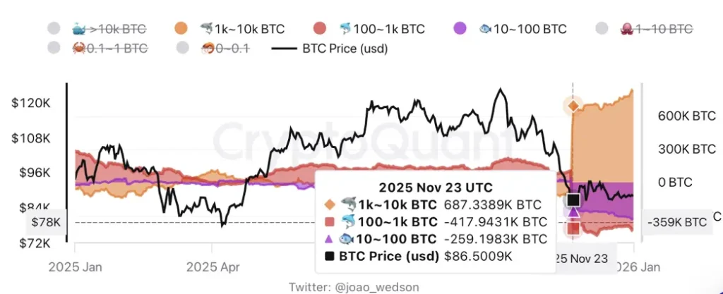 Bitcoin Price Rally to $90K Faces Reality Check From On-Chain Metrics