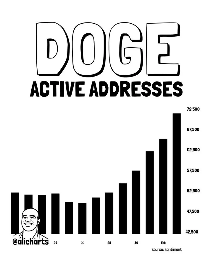 DOGE Active Addresses DOGE Active Addresses