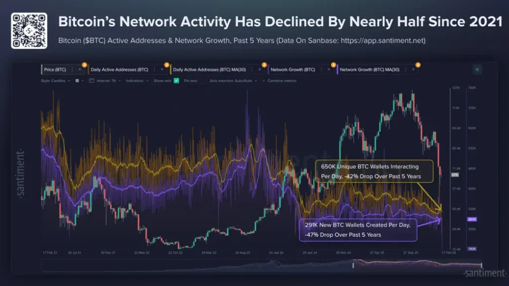 BTC Network Activity BTC Network Activity