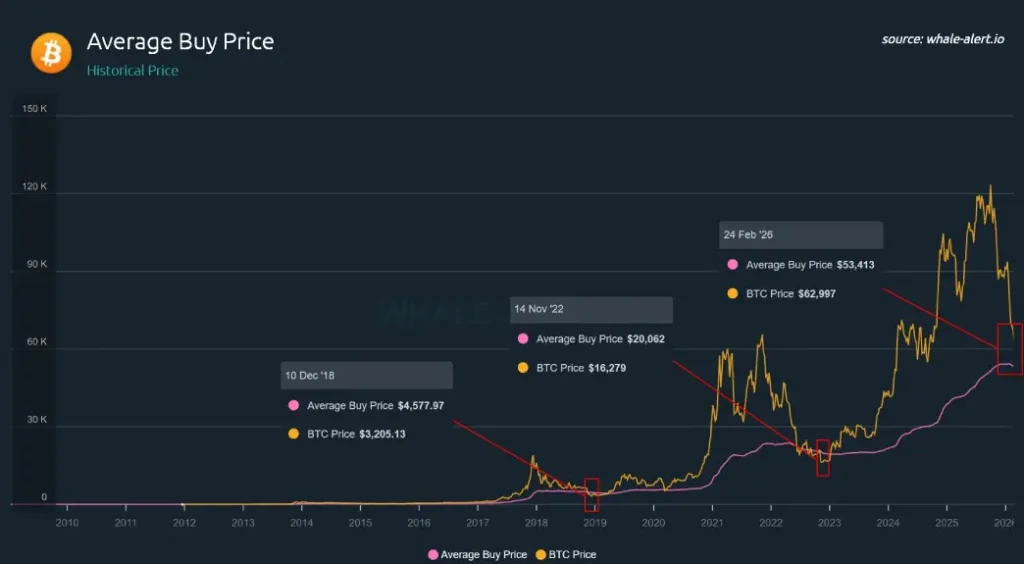 Average Buy Price Average Buy Price