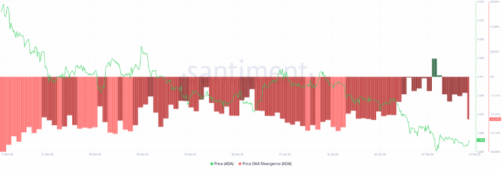 Cardano Chart Cardano Chart