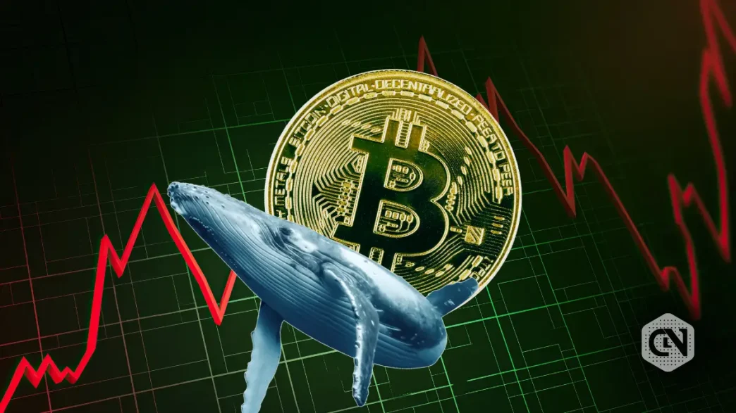 BTC Whale Activity