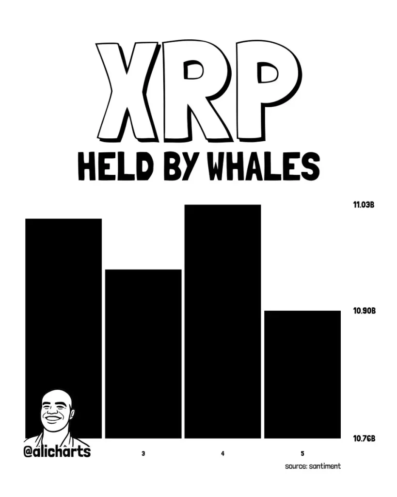 XRP Whales XRP Whales