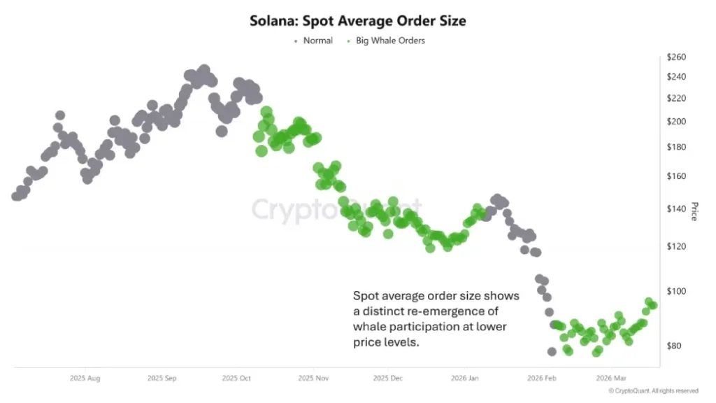 SOL Spot Average SOL Spot Average