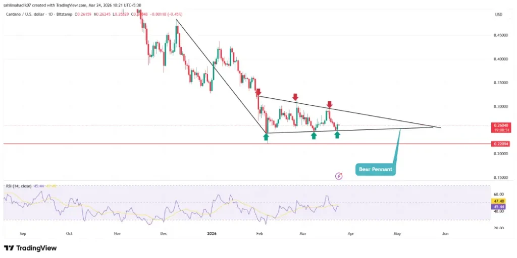 Cardano Price Cardano Price