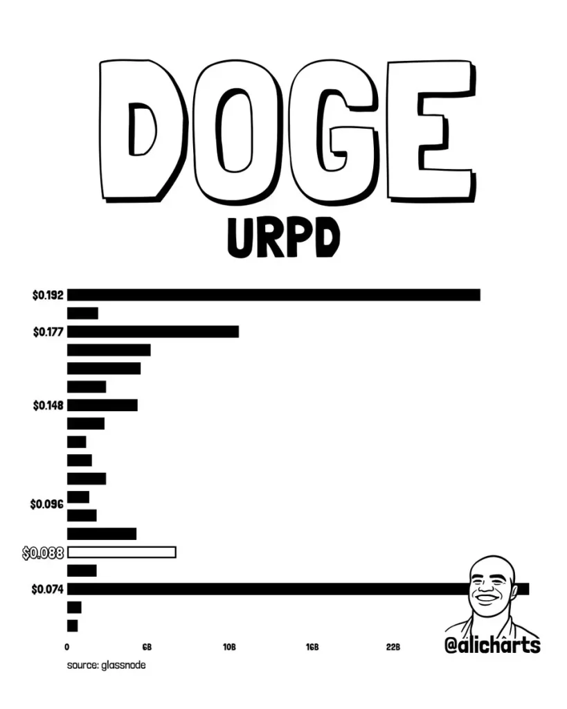 DOGE URPD