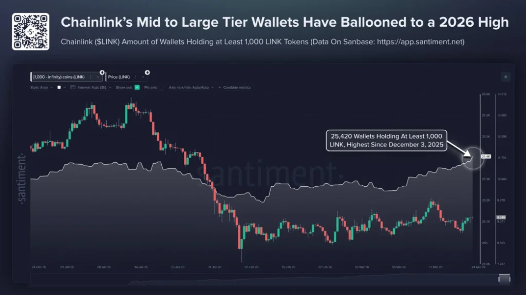 Whale Activity Whale Activity