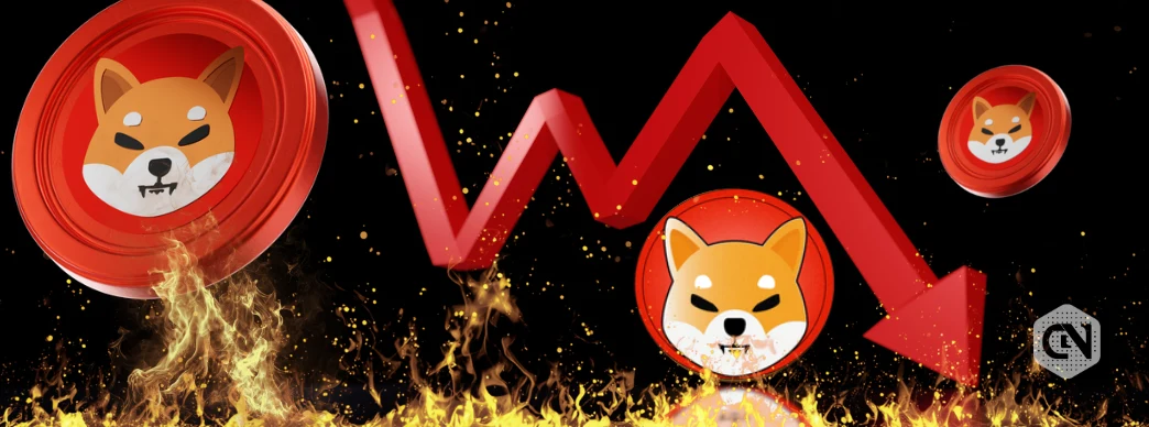 Shiba Inu Price Drops Despite Crypto Market Rise