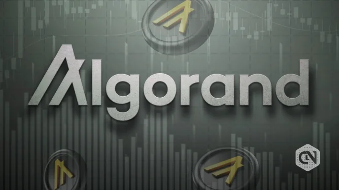 Algorand Price Jumps on Google Quantum AI Nod, Leads Altcoin Rotation