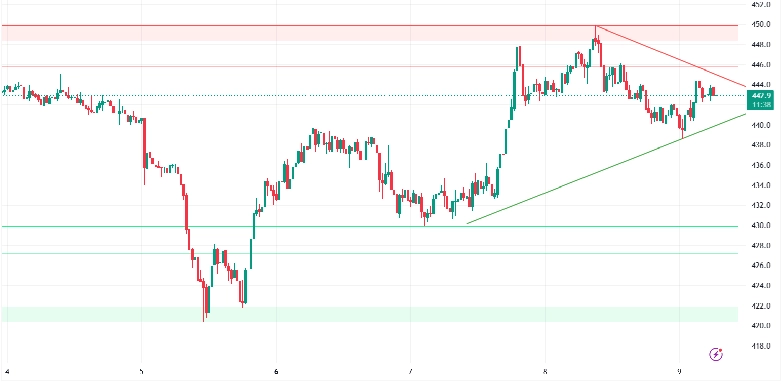 BITCOIN CASH / USDT (30-min Chart)
