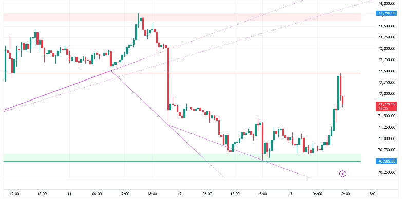 BITCOIN USDT (30 min chart)