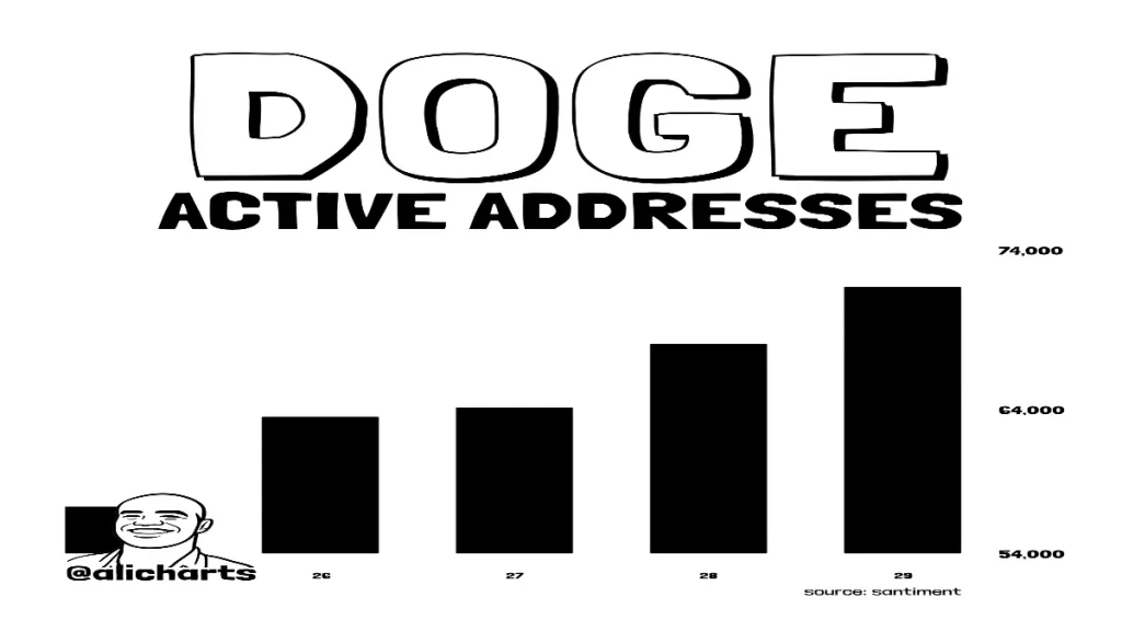 DOGE Wallet Activity DOGE Wallet Activity