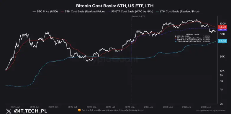BTC Coast Basis