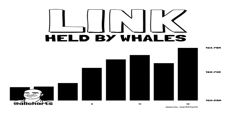 LINK Whale buying LINK Whale buying