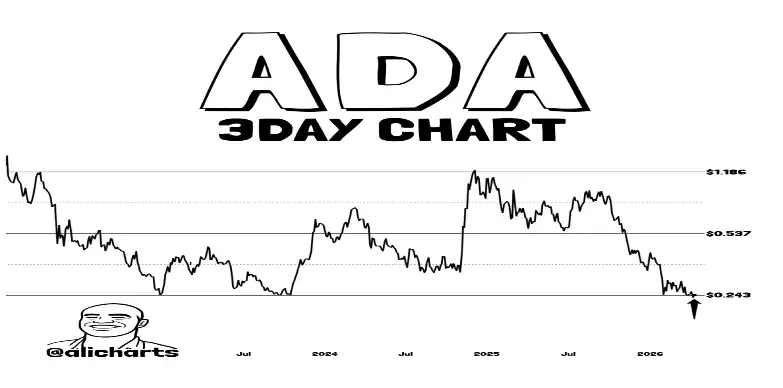 Cardano Price
