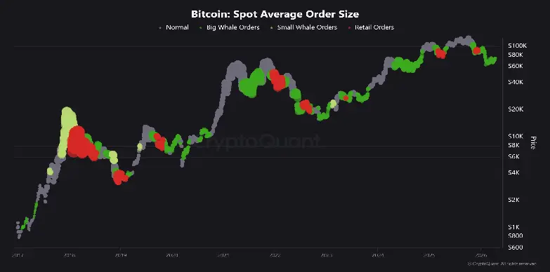BTC spot Average Order Size