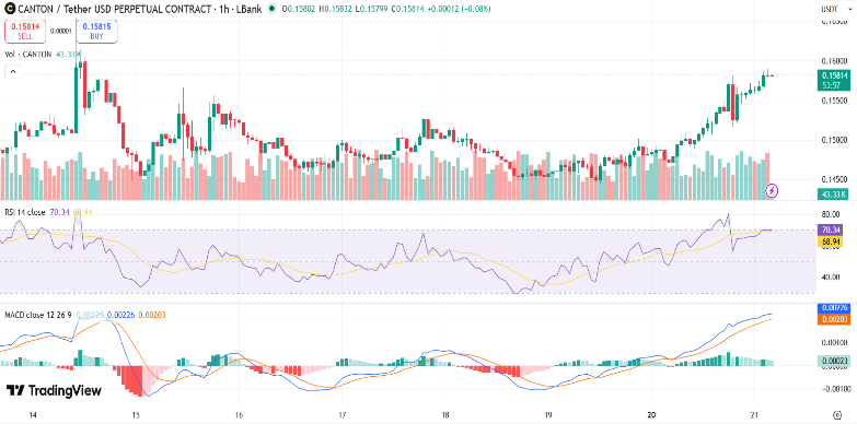 Canton Price Surges Toward Breakout After Spike of 10%