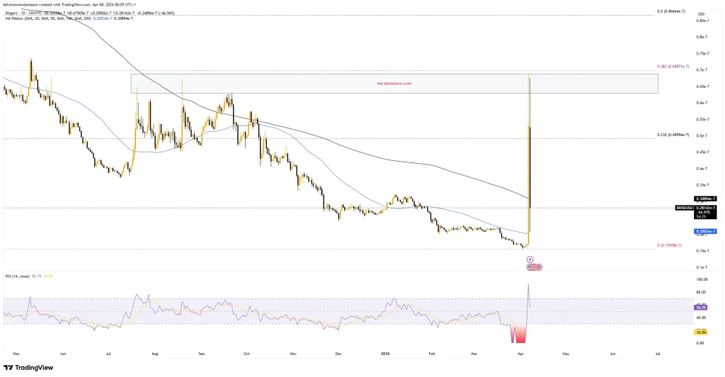 Bitgert 1-Day Price Chart (Source: TradingView)