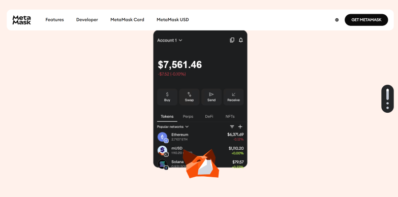 Metamask Homepage