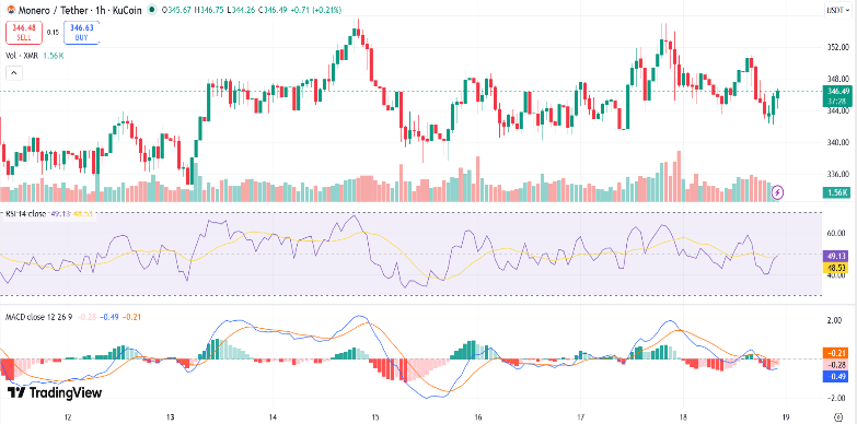 Monero Drops 3% on 12th Birthday as Bitcoin Rally Stalls