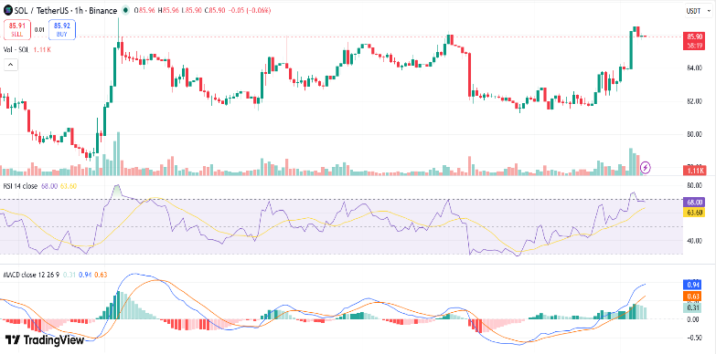 SOL Price Soars 5% SOL Price Soars 5%