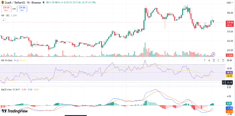 Zcash Price Drops 5% as Market Faces Selling Pressure